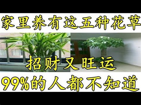 砍榕樹禁忌|【砍榕樹禁忌】砍榕樹禁忌：小心犯沖煞！院子砍樹注意事項大公。